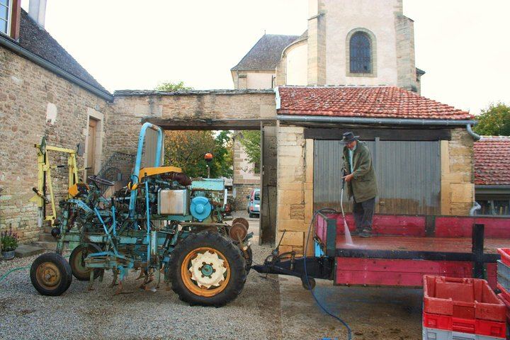 Burgundy Bike and Wine Tour: Downhill from Beaune with a Minivan Transfer and 4 Wines (6/12)