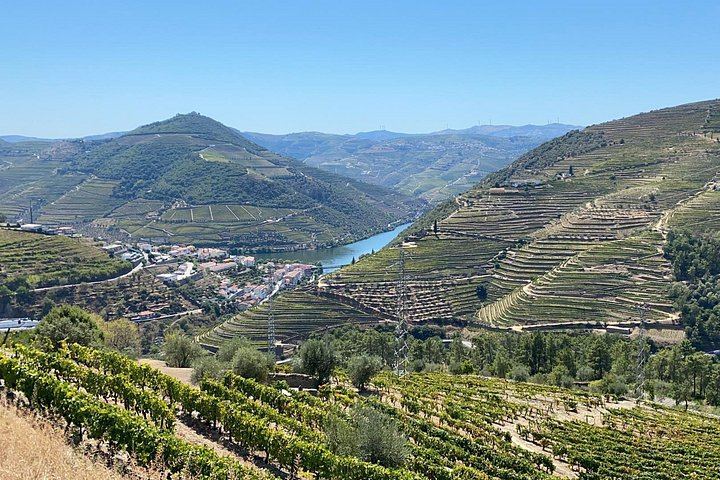 Douro Valley Small Group from Porto: Three Tastings, Sabrosa Lunch, Amarante (5/12)