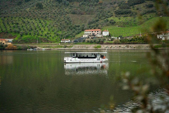Douro Valley Day Trip from Porto in an Eight-Seat Vehicle with Electric Boat and Lunch (2/12)