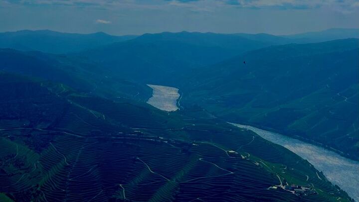 Douro Valley Day Trip from Porto in an Eight-Seat Vehicle with Electric Boat and Lunch (3/12)