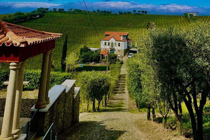 Douro Valley Day Trip from Porto in an Eight-Seat Vehicle with Electric Boat and Lunch (6/12)