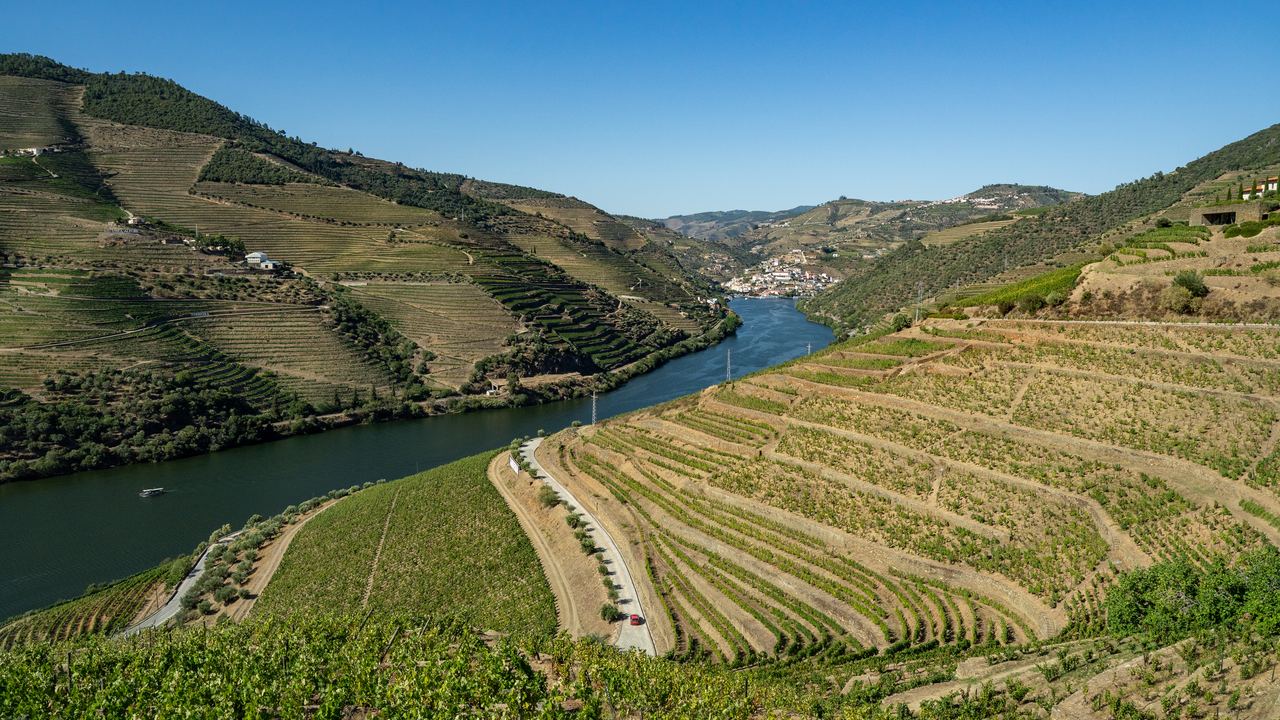 Wide view of the Douro river, terraced vineyards and a winding road in the Douro Valley