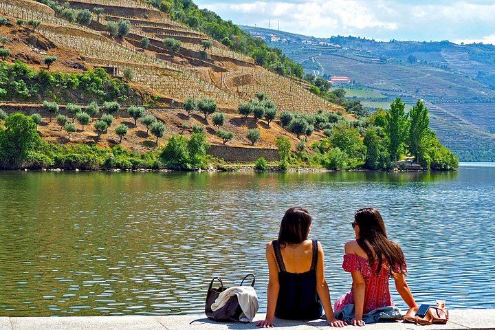 Douro Valley Mercedes Van Day Trip from Porto: Two Family Wineries and Boat Cocktail (9/12)