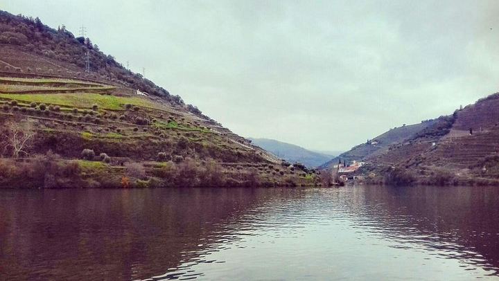 Private Full-Day Douro Valley Wine Tour from Lisbon with Driver, N222 Road and Winery Stop (3/12)