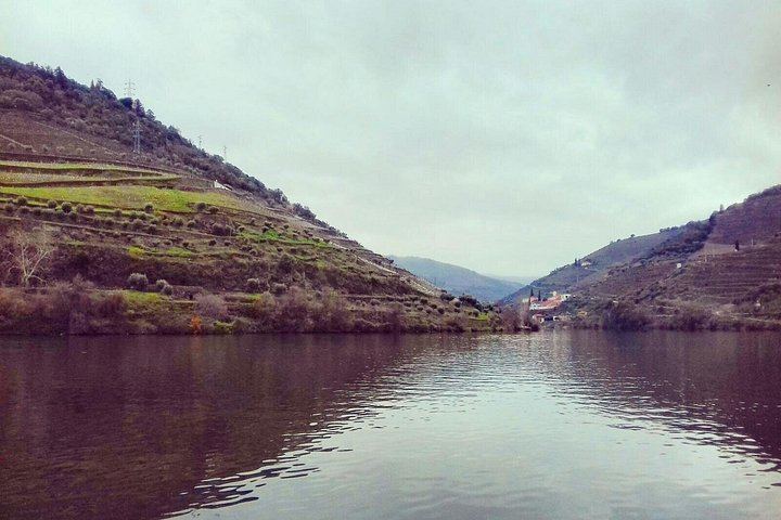 Private Full-Day Douro Valley Wine Tour from Lisbon with Driver, N222 Road and Winery Stop (3/12)