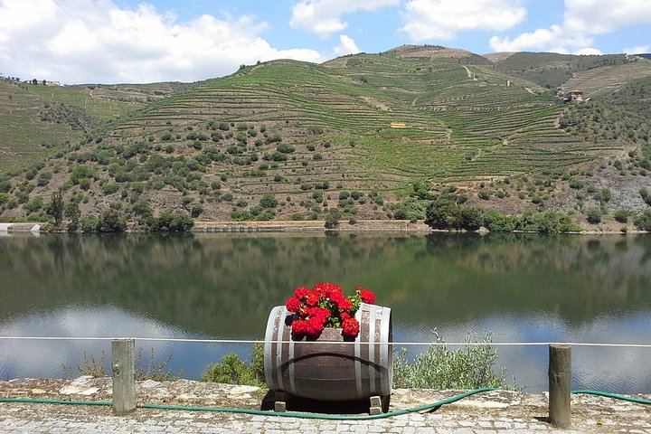 Private Off-the-Beaten-Path Douro Valley Wine Tour from Porto, Winery Lunch Stop (12/12)