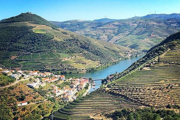 Private Off-the-Beaten-Path Douro Valley Wine Tour from Porto, Winery Lunch Stop
