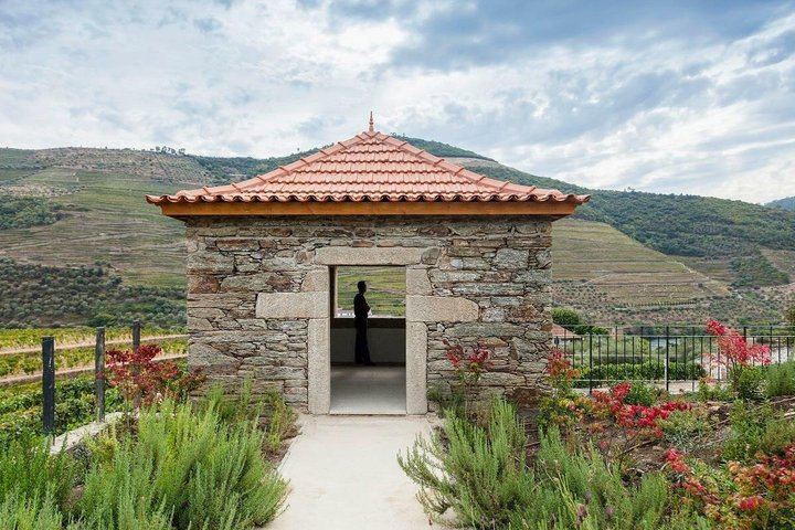 Douro Valley and Amarante Day Tour from Porto: Farm Tasting, Tapas Cruise, Fumeiro (2/12)
