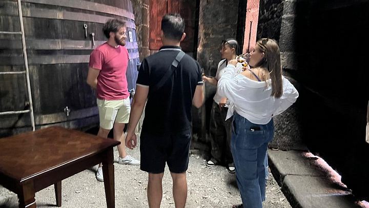 Douro Valley Wine Day Trip, Max Six Guests: Three Family Wineries, Port and Lunch (3/12)