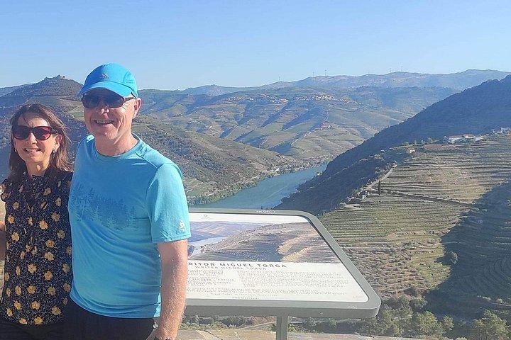 Douro Valley Wine Day Trip, Max Six Guests: Three Family Wineries, Port and Lunch (10/12)