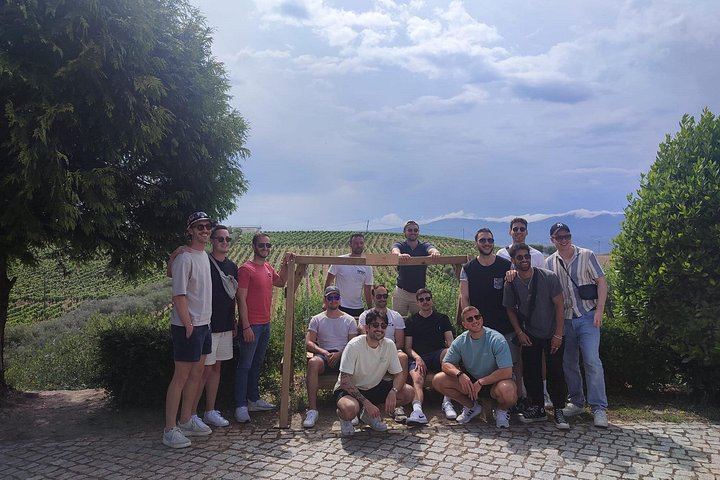 Douro Valley Wine Day Trip, Max Six Guests: Three Family Wineries, Port and Lunch (12/12)