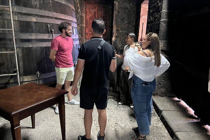 Douro Valley Wine Day Trip, Max Six Guests: Three Family Wineries, Port and Lunch (3/12)