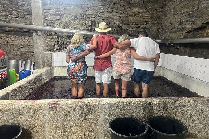 Douro Valley Wine Day Trip, Max Six Guests: Three Family Wineries, Port and Lunch (6/12)