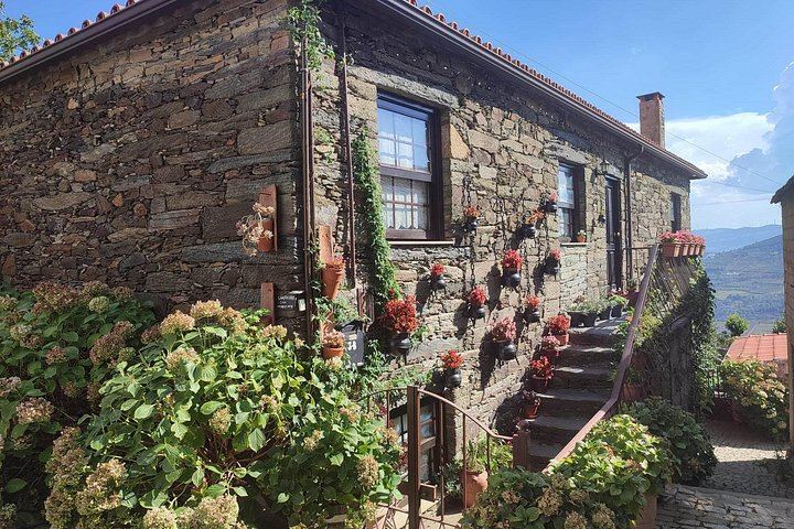 Douro Valley Wine Day Trip, Max Six Guests: Three Family Wineries, Port and Lunch (7/12)