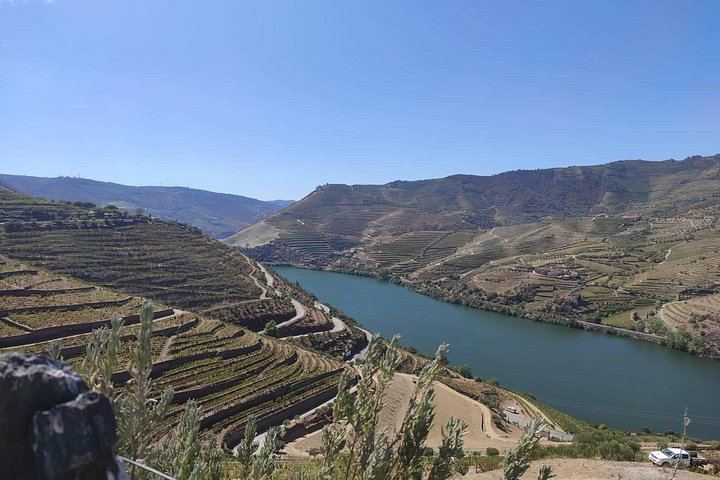 Douro Valley Wine Day Trip, Max Six Guests: Three Family Wineries, Port and Lunch (8/12)