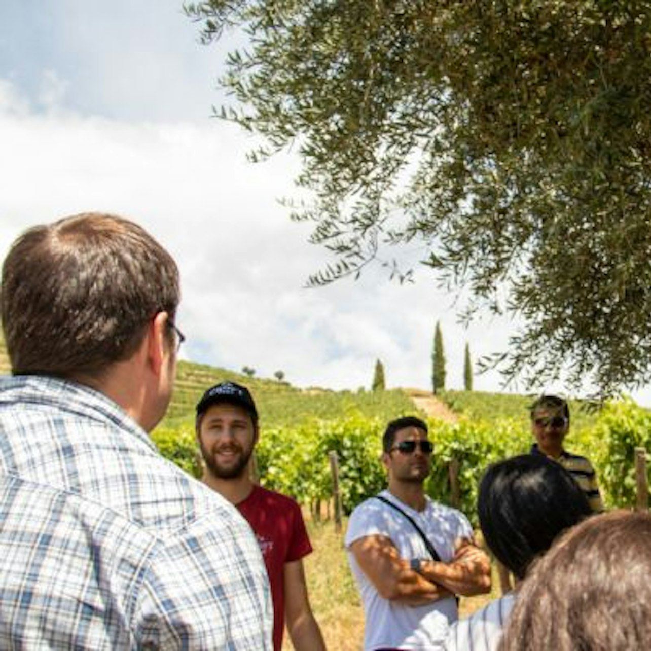 Douro Valley Day Trip from Porto with Family Estate Lunch, Tastings and Pinhão Cruise (1/8)