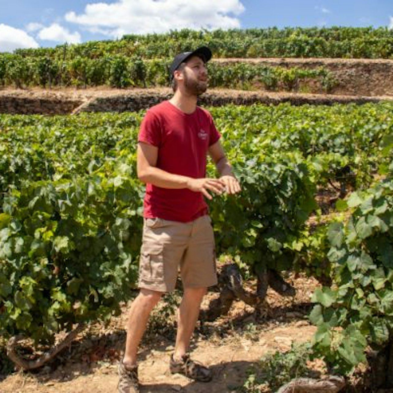 Douro Valley Day Trip from Porto with Family Estate Lunch, Tastings and Pinhão Cruise (4/8)