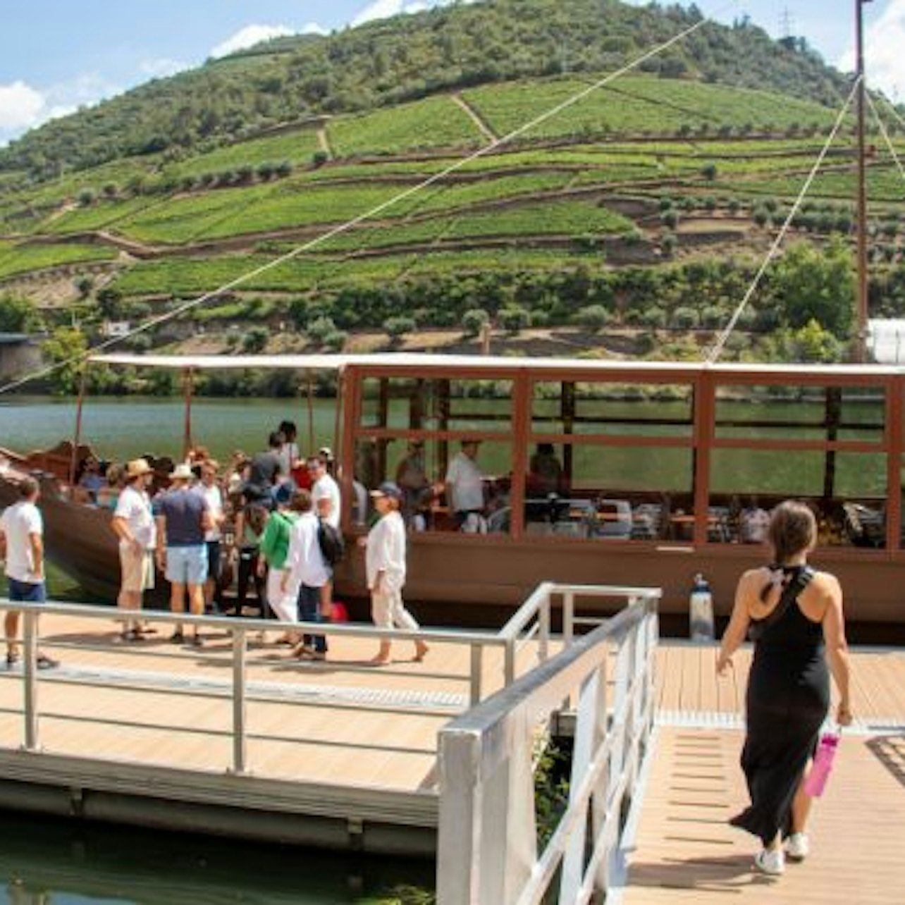 Douro Valley Day Trip from Porto with Family Estate Lunch, Tastings and Pinhão Cruise (2/8)