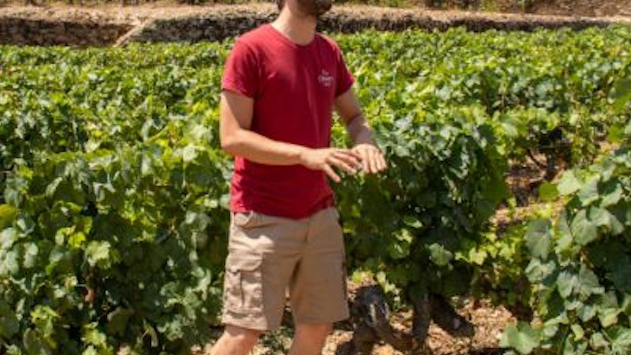 Douro Valley Day Trip from Porto with Family Estate Lunch, Tastings and Pinhão Cruise (4/8)