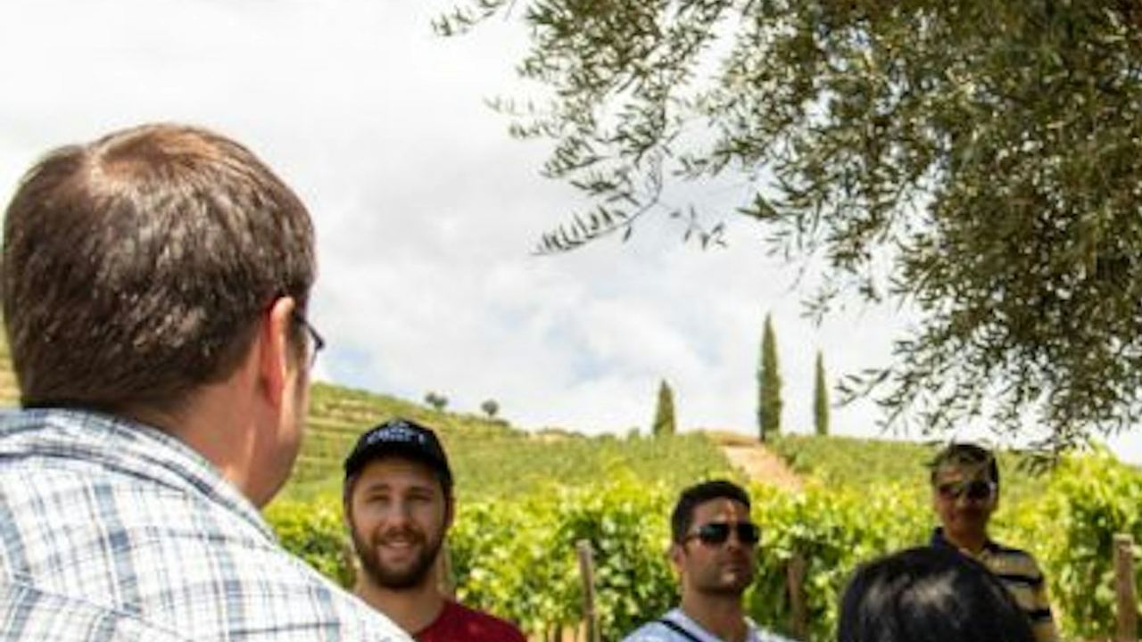 Douro Valley Day Trip from Porto with Family Estate Lunch, Tastings and Pinhão Cruise (1/8)