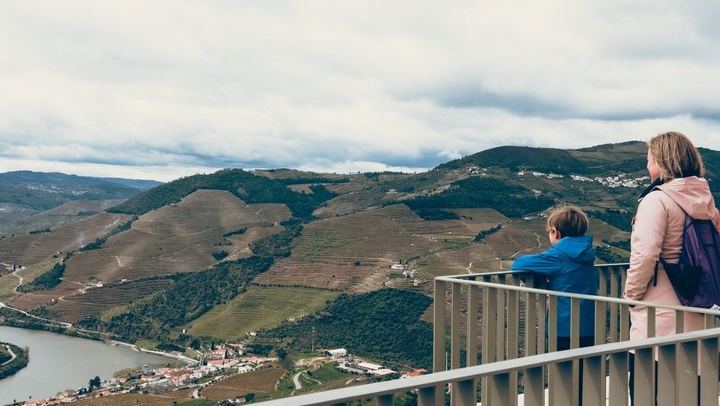 Sustainable Douro Valley Day Trip from Porto with Three-Course Lunch and Winery Tasting (4/9)