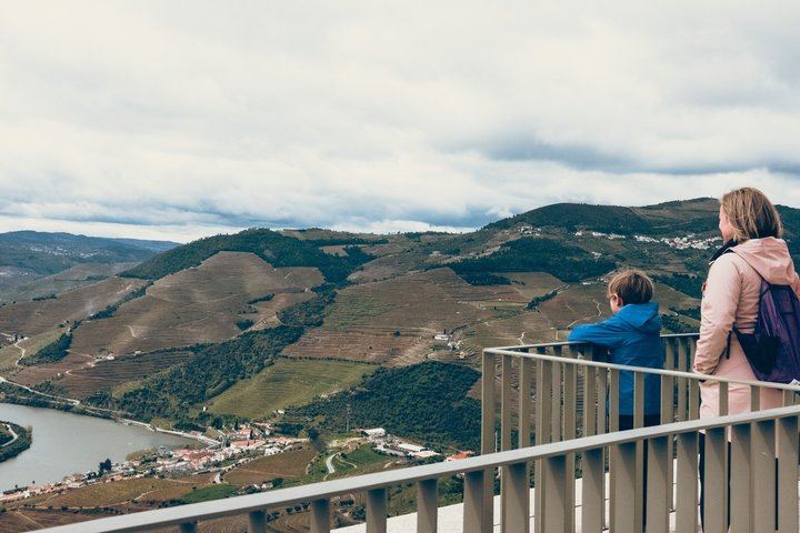Sustainable Douro Valley Day Trip from Porto with Three-Course Lunch and Winery Tasting (4/9)