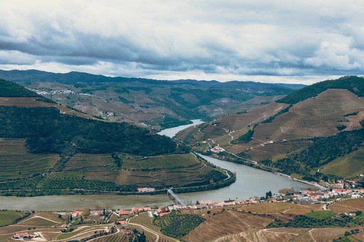 Sustainable Douro Valley Day Trip from Porto with Three-Course Lunch and Winery Tasting (9/9)