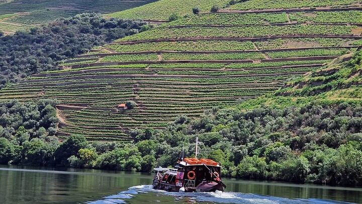 Douro Valley Family-Run Day Trip from Porto: Rabelo Boat, Wine Lunch, Bottle Gift (4/12)