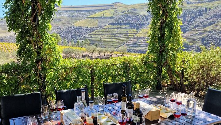 Douro Valley Family-Run Day Trip from Porto: Rabelo Boat, Wine Lunch, Bottle Gift (1/12)