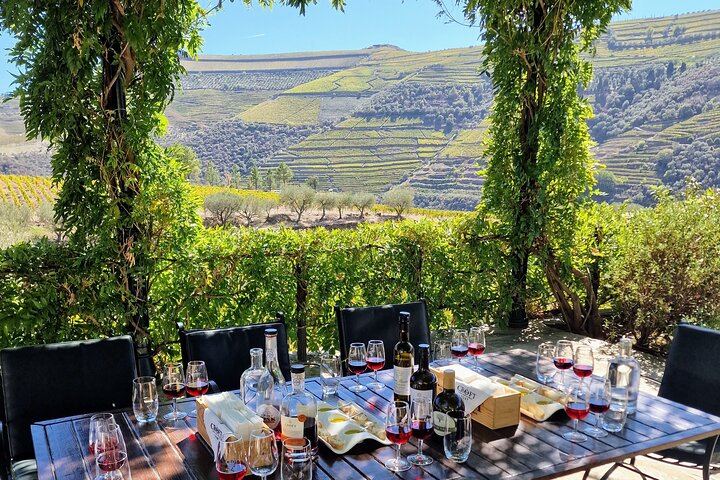 Douro Valley Family-Run Day Trip from Porto: Rabelo Boat, Wine Lunch, Bottle Gift (1/12)