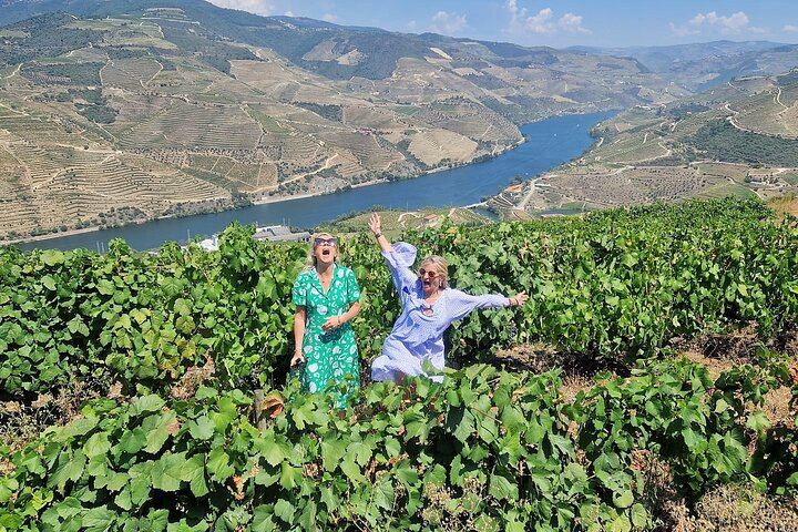 Douro Valley Family-Run Day Trip from Porto: Rabelo Boat, Wine Lunch, Bottle Gift (3/12)