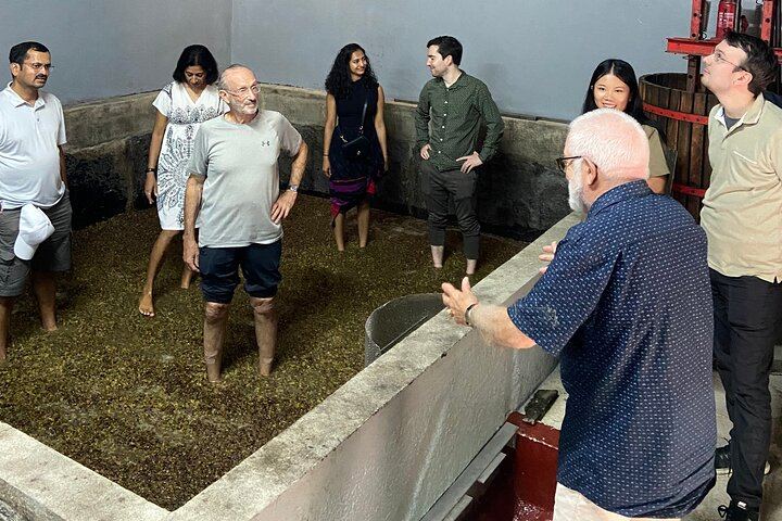Douro Valley Family-Run Day Trip from Porto: Rabelo Boat, Wine Lunch, Bottle Gift (9/12)