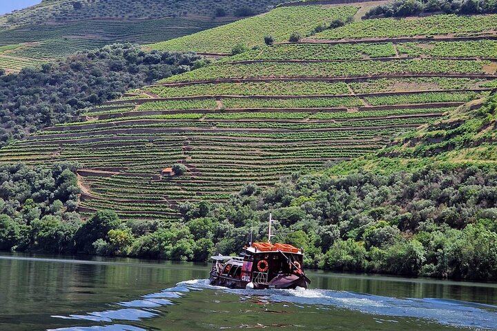 Douro Valley Family-Run Day Trip from Porto: Rabelo Boat, Wine Lunch, Bottle Gift (4/12)
