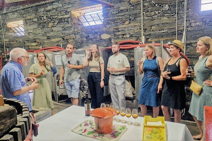 Douro Valley Family-Run Day Trip from Porto: Rabelo Boat, Wine Lunch, Bottle Gift (2/12)