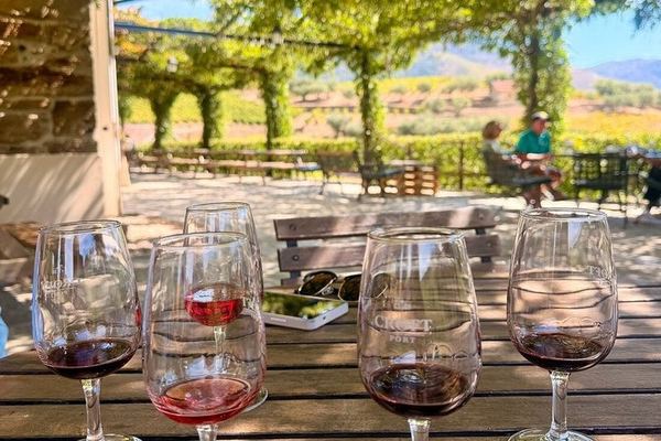 Six-Hour Douro Valley Tour from Porto: Croft Port at Quinta da Roeda, Lunch and Viewpoints