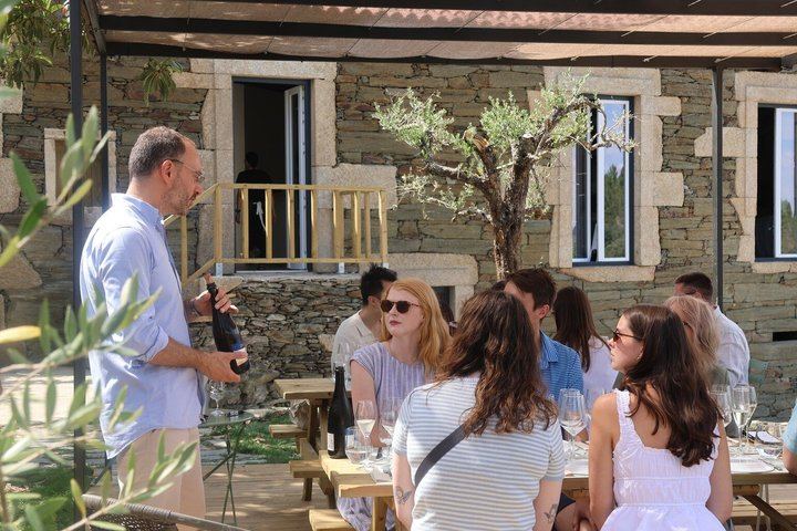 Douro Valley Half-Day Tour with Winery Brunch, Tastings and One-Hour Pinhão Boat Cruise (3/12)