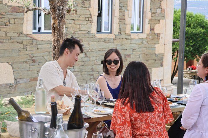 Douro Valley Half-Day Tour with Winery Brunch, Tastings and One-Hour Pinhão Boat Cruise (9/12)