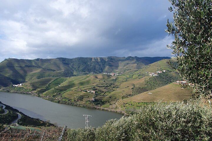 Six-Hour Douro Valley Tour from Porto: Croft Port at Quinta da Roeda, Lunch and Viewpoints (12/12)