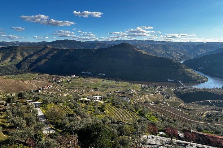 Six-Hour Douro Valley Tour from Porto: Croft Port at Quinta da Roeda, Lunch and Viewpoints (7/12)