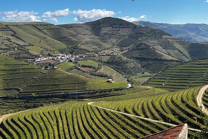 Six-Hour Douro Valley Tour from Porto: Croft Port at Quinta da Roeda, Lunch and Viewpoints (2/12)