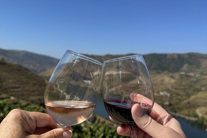 Six-Hour Douro Valley Tour from Porto: Croft Port at Quinta da Roeda, Lunch and Viewpoints (11/12)