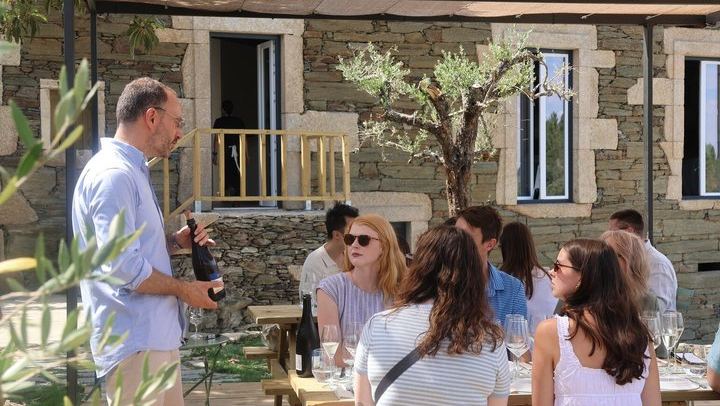 Douro Valley Half-Day Tour with Winery Brunch, Tastings and One-Hour Pinhão Boat Cruise (3/12)