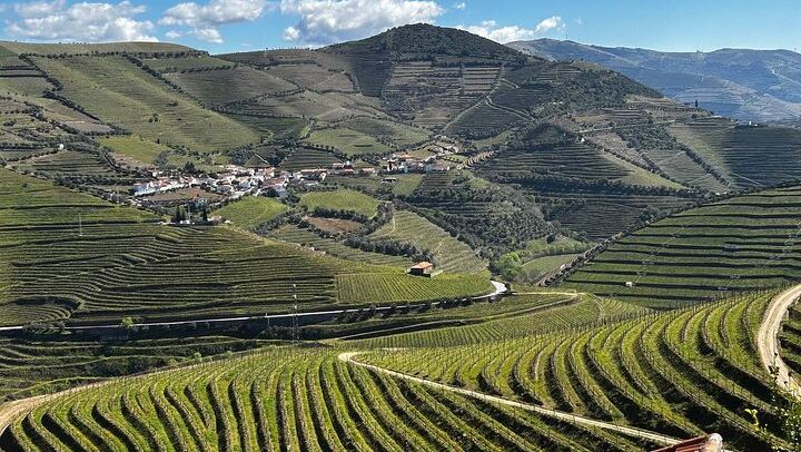 Six-Hour Douro Valley Tour from Porto: Croft Port at Quinta da Roeda, Lunch and Viewpoints (2/12)