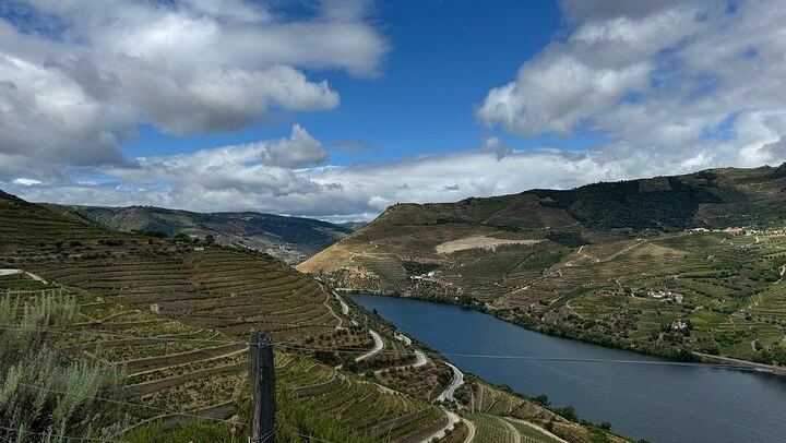 Six-Hour Douro Valley Tour from Porto: Croft Port at Quinta da Roeda, Lunch and Viewpoints (3/12)