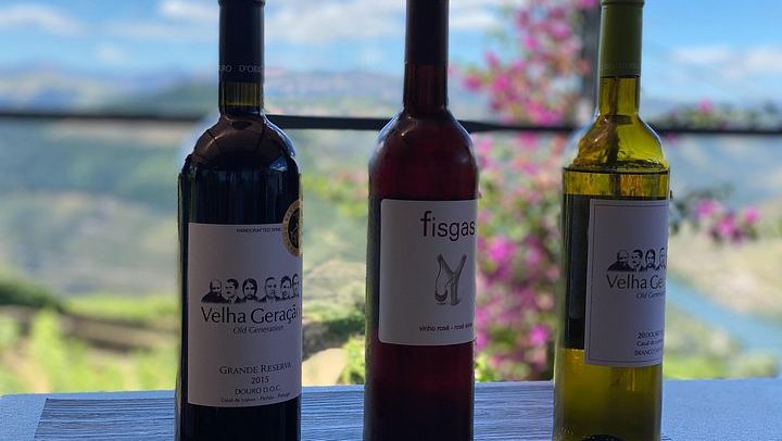 Douro Valley Day Trip from Porto by Tesla with Ventozelo Lunch and Port Tasting (2/8)