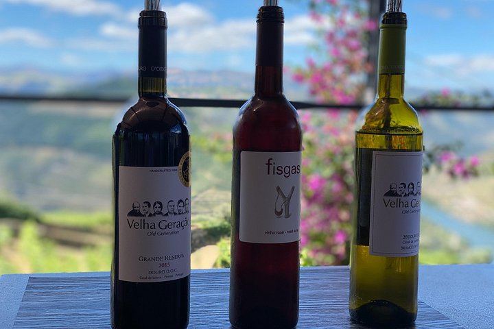 Douro Valley Day Trip from Porto by Tesla with Ventozelo Lunch and Port Tasting (2/8)