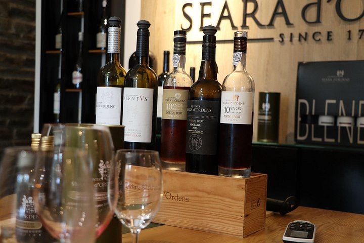 Douro Valley Day Trip from Porto by Tesla with Ventozelo Lunch and Port Tasting (8/8)