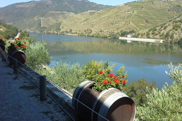 Douro Valley Day Tour from Porto, Max 7 Guests: Two Family Quintas, Villages and Port (11/12)