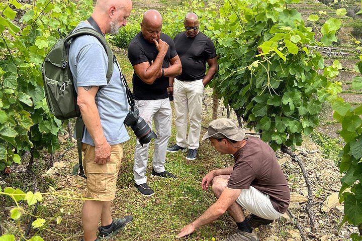 Luxury Douro Wine Day from Porto: Private Jeep, Rabelo Boat, Olive Mill, Estate Lunch (5/12)