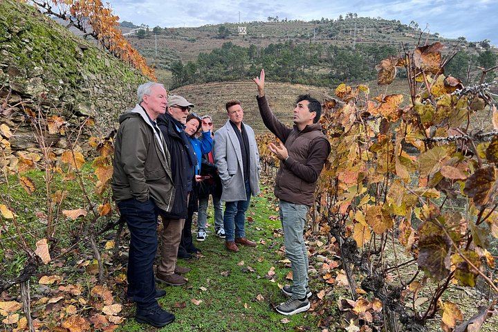 Luxury Douro Wine Day from Porto: Private Jeep, Rabelo Boat, Olive Mill, Estate Lunch (12/12)